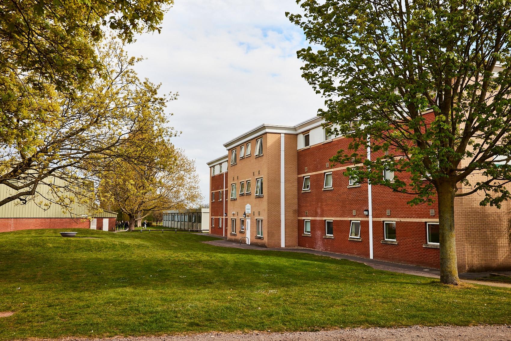 college york 6