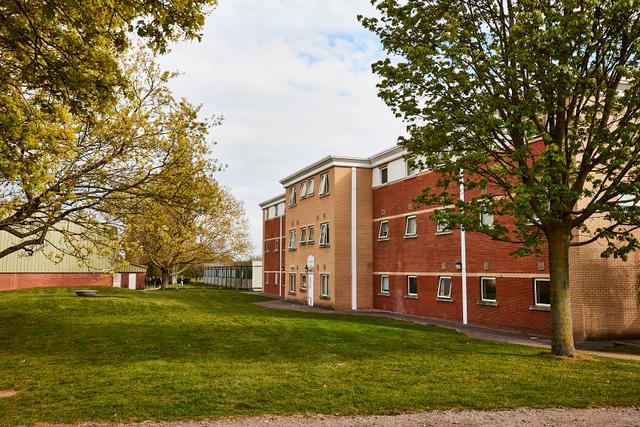 college york 6