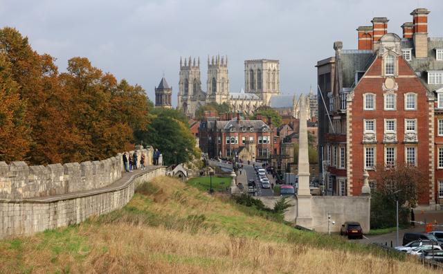 college york 7