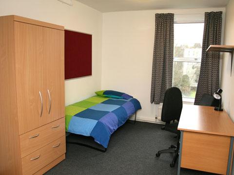 pic-6.jpg