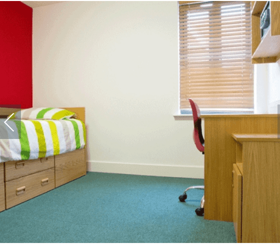 canterbury accommodation 