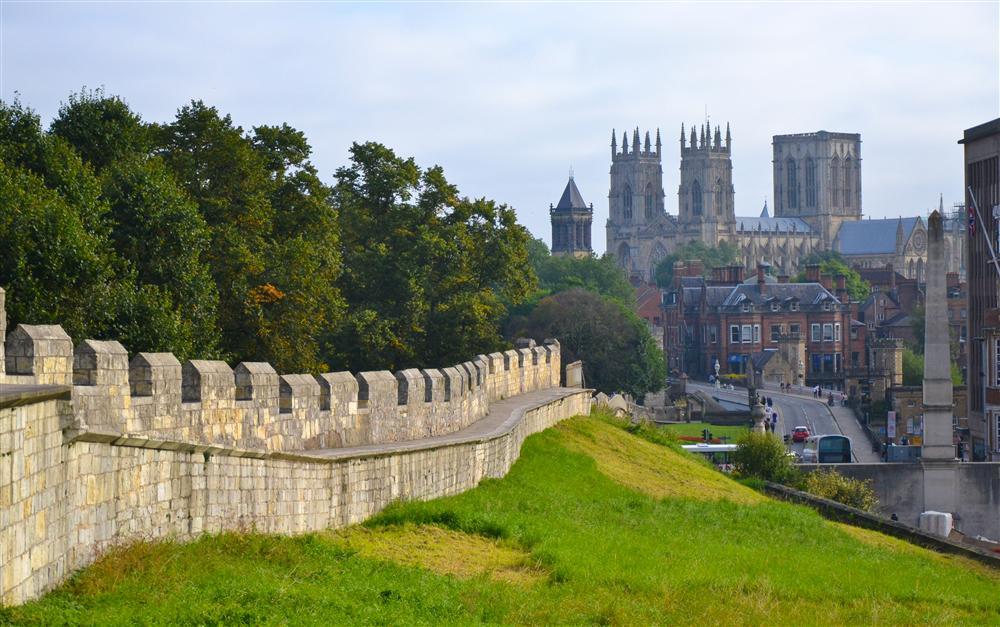 Summer Camp Askham Bryan College, York