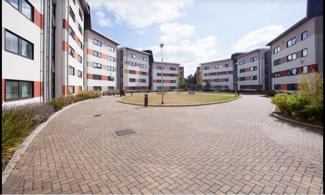 Summer Camp University of Reading, Reading